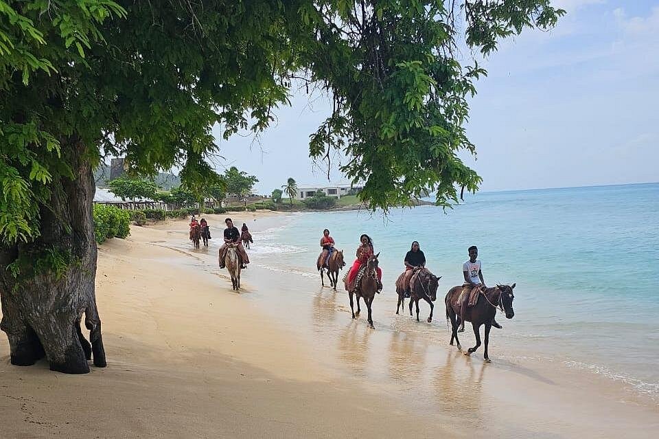 Horseback Riding Hawksbill Beach
