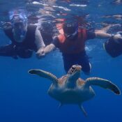 St. John’s Antigua Taxi