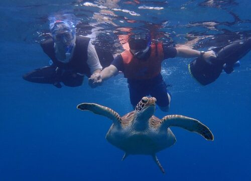 St. John’s Antigua Taxi Services – Reliable Rides with Antigua Taxi and Tours