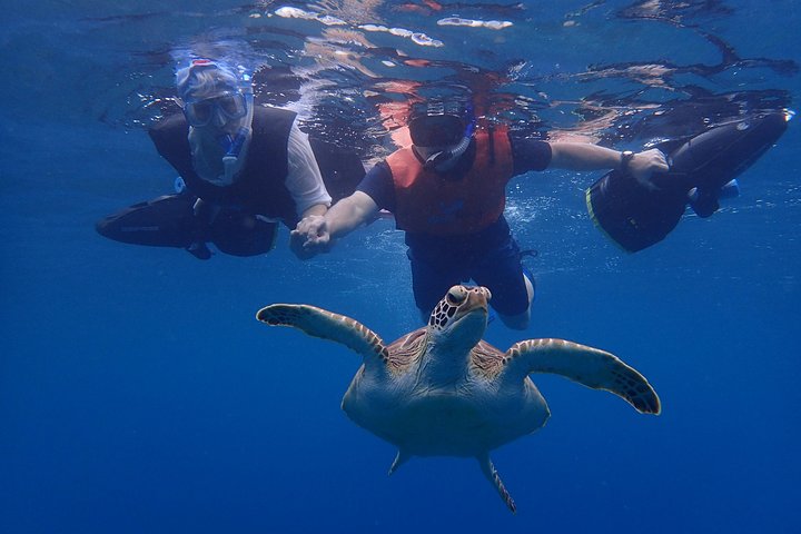 Turtle Beach Snorkeling Adventure