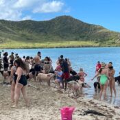 St. Johns Antigua Excursions