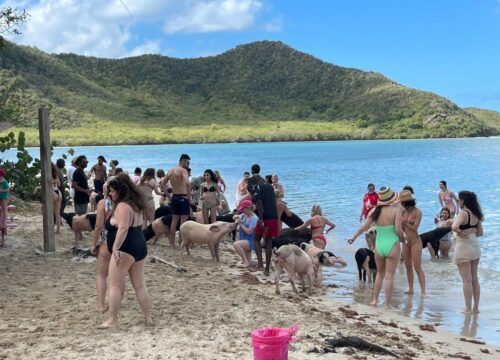 St. John’s Antigua Excursions: Discover the Island with Antigua Taxi and Tours