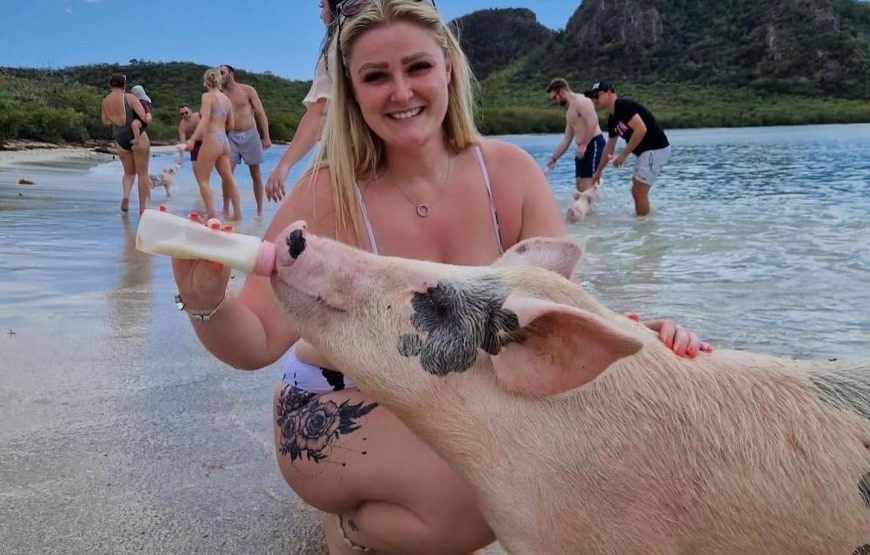 Pig in Paradise Excursions