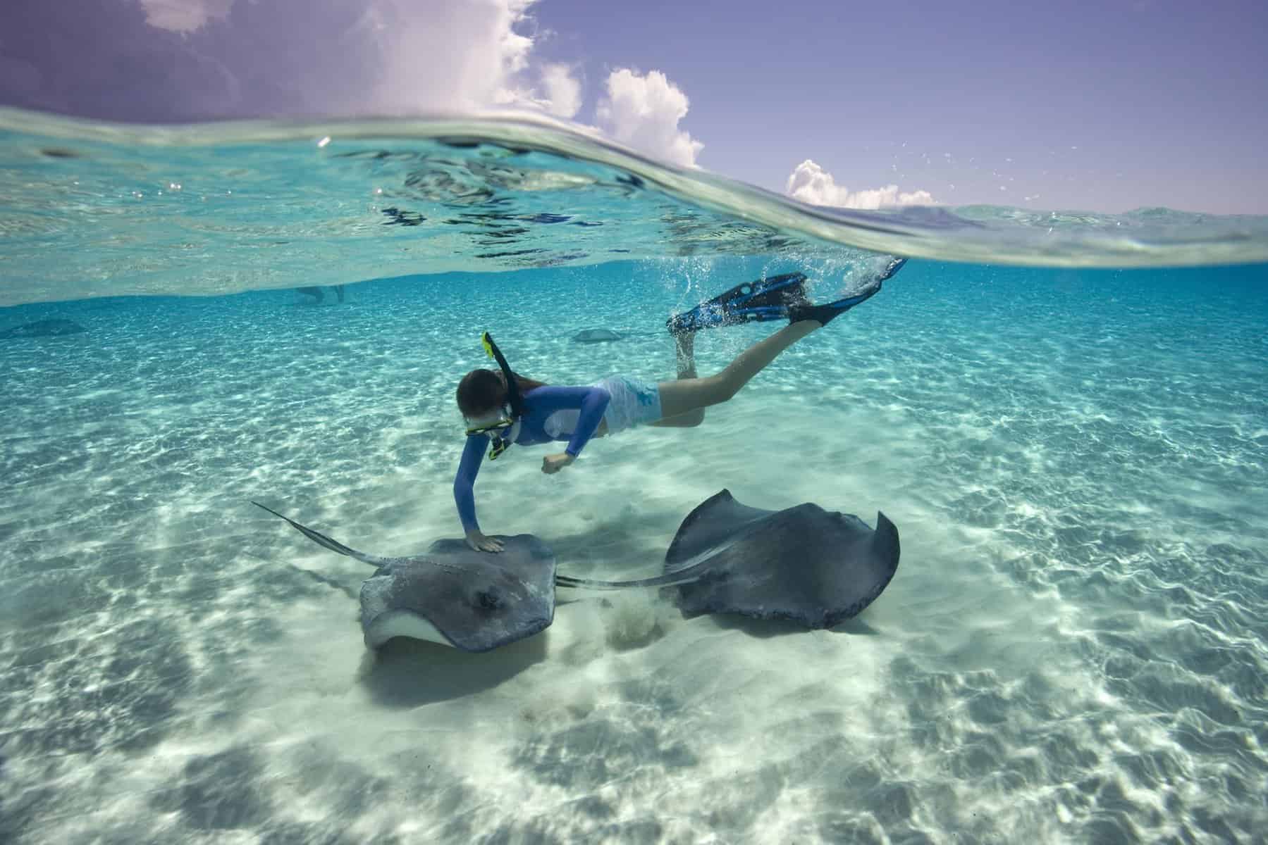 Swim and Snorkel