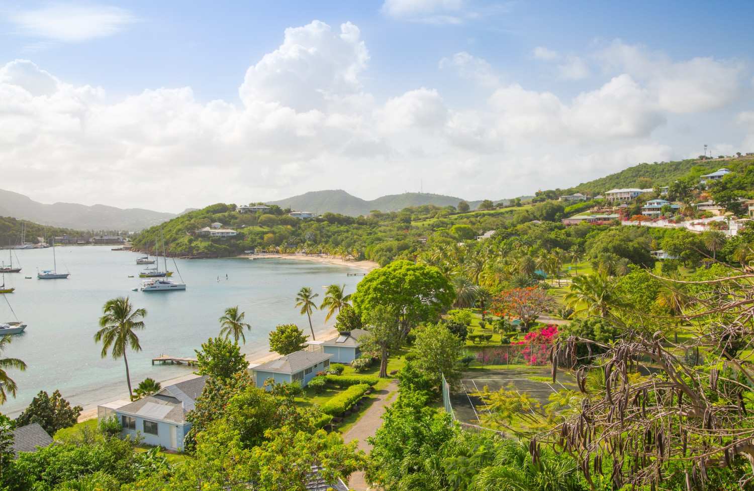 Scenic Coastal Drive