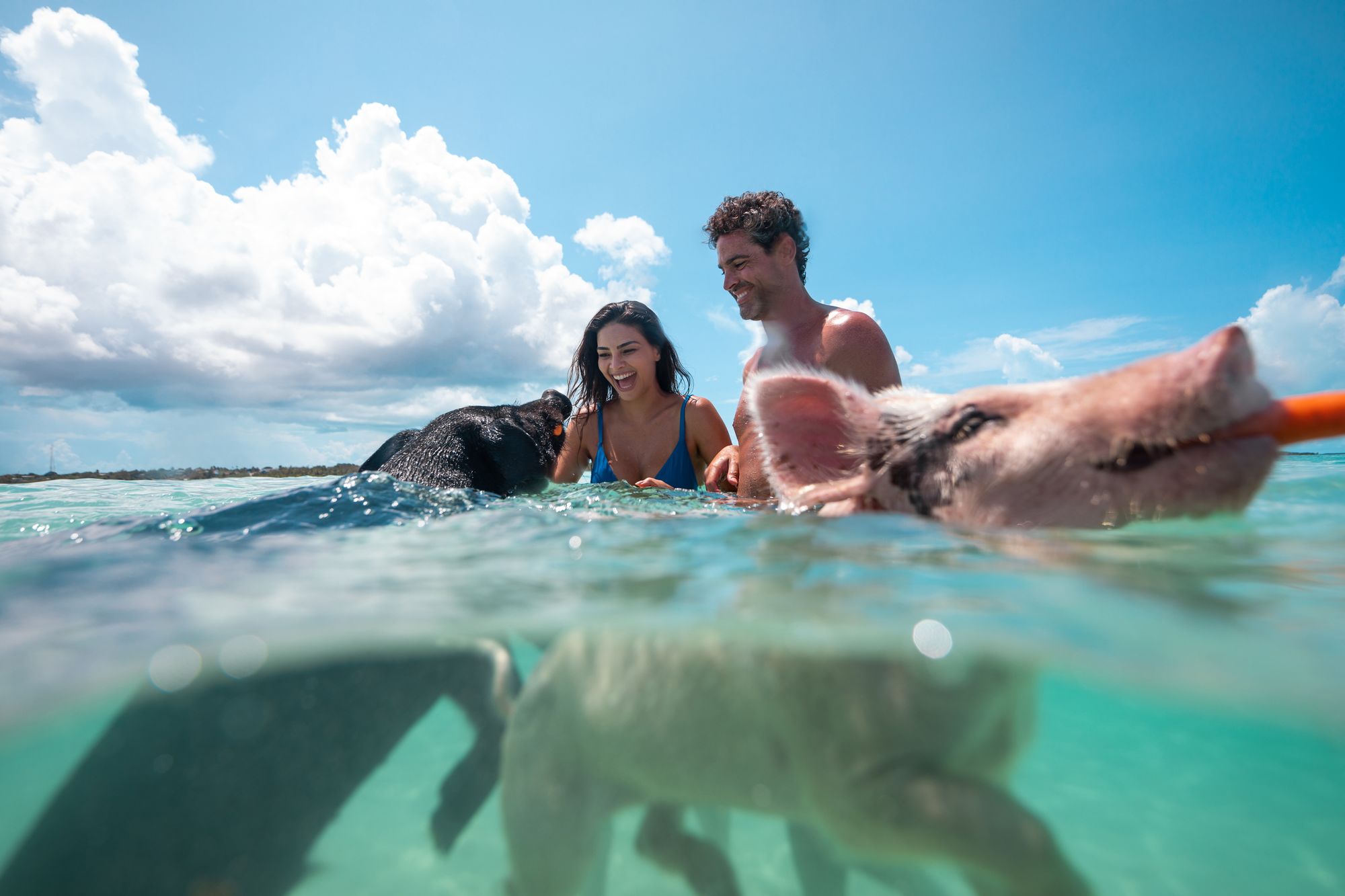 Relaxing Island Experience